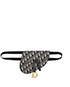 Christain Dior Saddle Pouch, front view